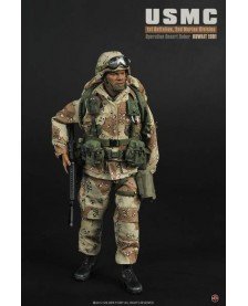USMC 1st Battalion 2nd Marine Division Operation Desert Saber