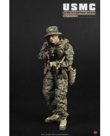 USMC 2nd MARINE EXPEDITIONARY BATTALION IN AFGHANISTAN
