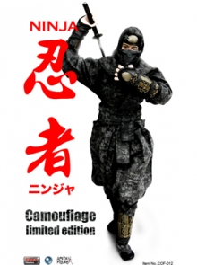 Ninja in camouflage