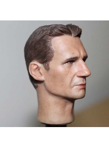 Голова Liam Neeson